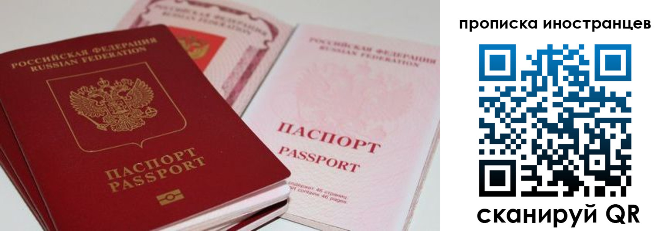 прописка поиск в Пушкино
